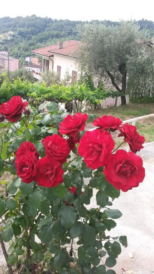 Casetta Del Nonno Bis أركولا المظهر الخارجي الصورة